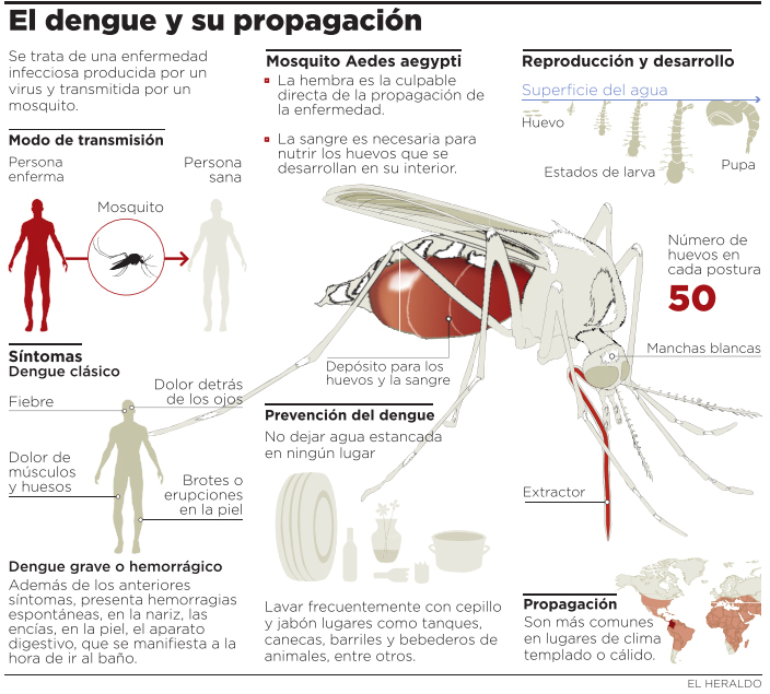Fotos archivo EL HERALDO