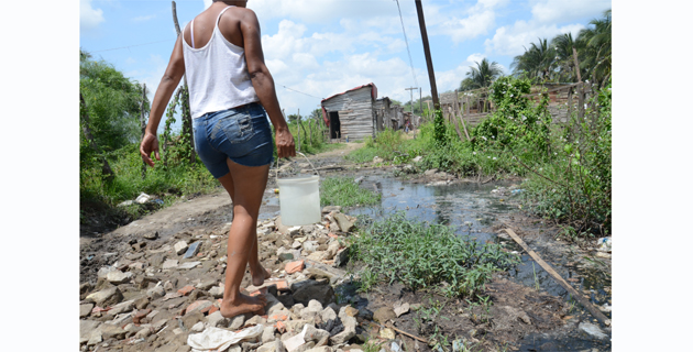 Fotos archivo EL HERALDO