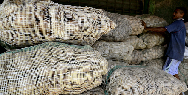 Fotos archivo EL HERALDO