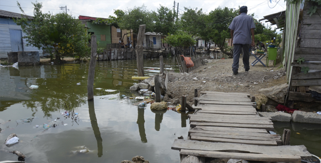 Fotos archivo EL HERALDO