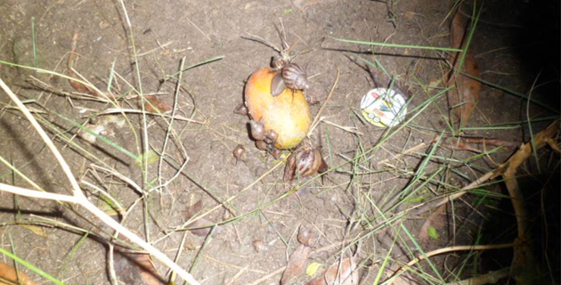 Fotos archivo EL HERALDO