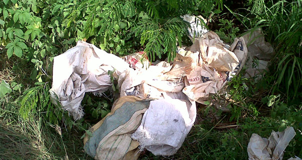 Fotos archivo EL HERALDO