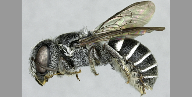 Fotos archivo EL HERALDO