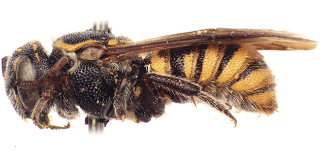 Fotos archivo EL HERALDO