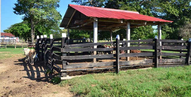 Fotos archivo EL HERALDO