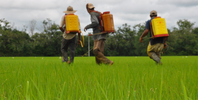 Fotos archivo EL HERALDO