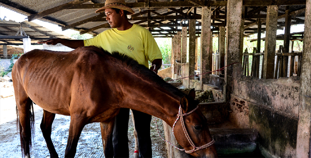 Fotos archivo EL HERALDO