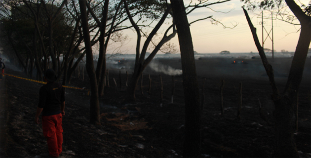 Fotos archivo EL HERALDO