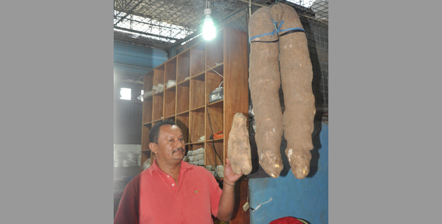 Fotos archivo EL HERALDO