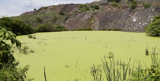 Fotos archivo EL HERALDO
