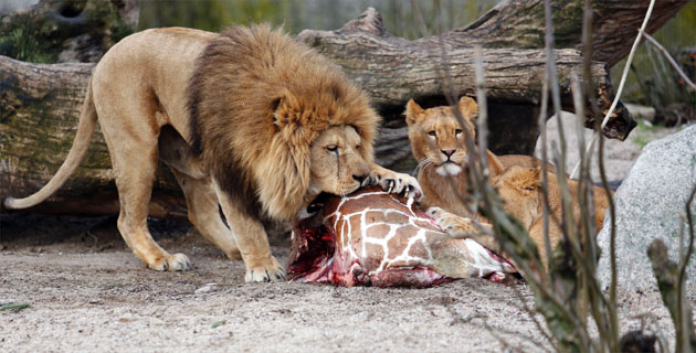 Fotos archivo EL HERALDO