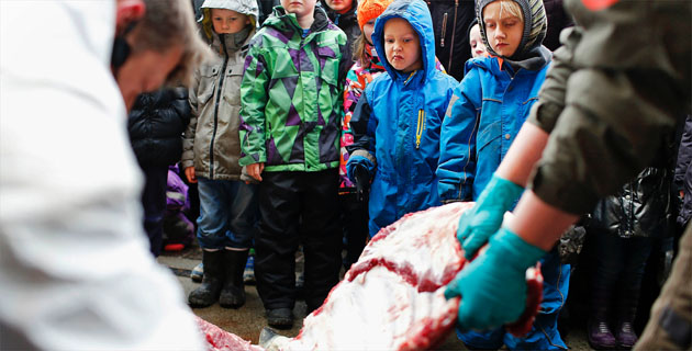 Fotos archivo EL HERALDO