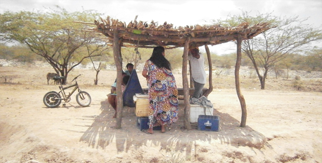 Fotos archivo EL HERALDO