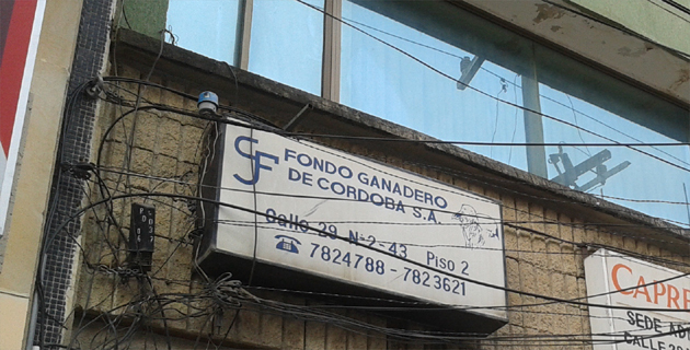 Fotos archivo EL HERALDO