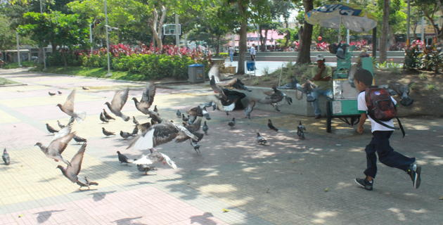 Fotos archivo EL HERALDO