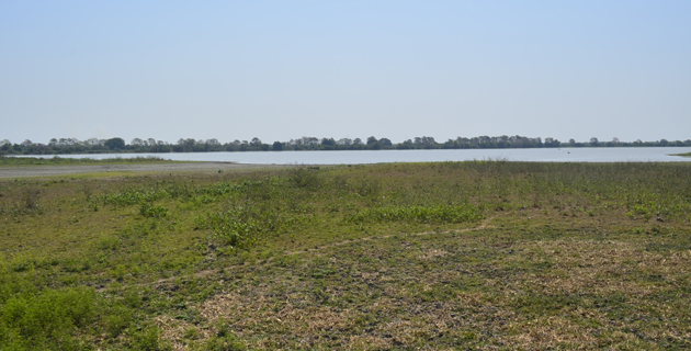 Fotos archivo EL HERALDO