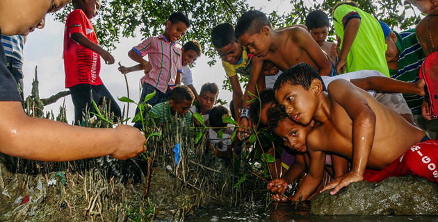 Fotos archivo EL HERALDO