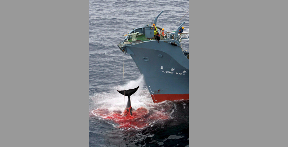 Fotos archivo EL HERALDO