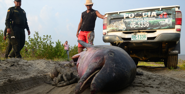 Fotos archivo EL HERALDO