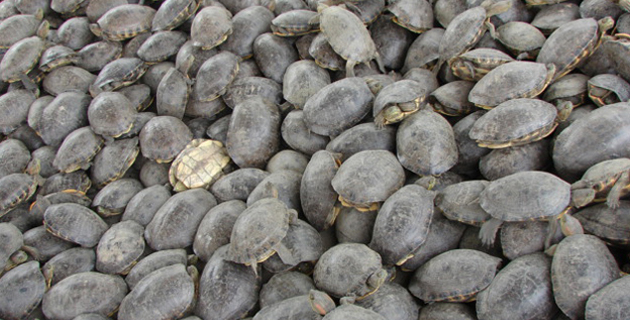 Fotos archivo EL HERALDO