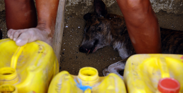 Fotos archivo EL HERALDO