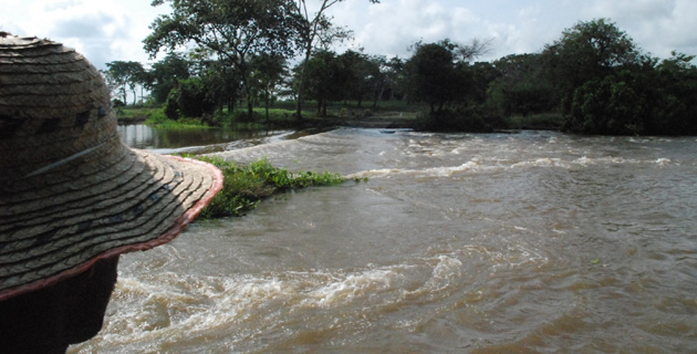 Fotos archivo EL HERALDO