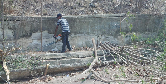 Fotos archivo EL HERALDO