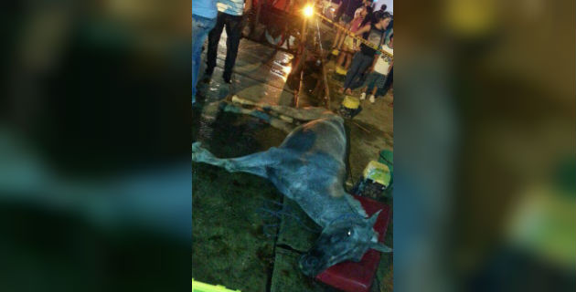 Fotos archivo EL HERALDO