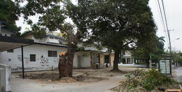 Fotos archivo EL HERALDO