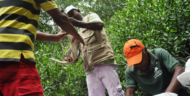 Fotos archivo EL HERALDO