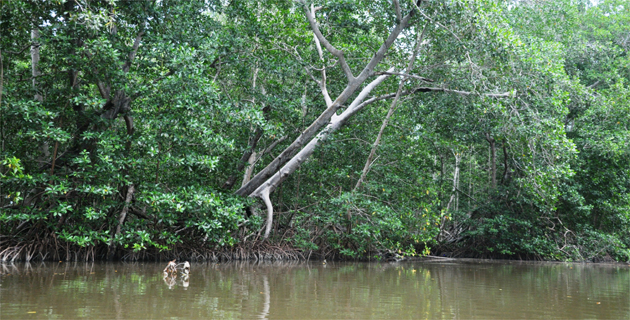 Fotos archivo EL HERALDO