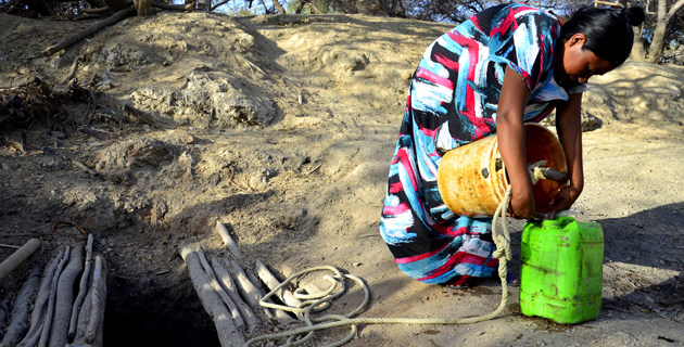 Fotos archivo EL HERALDO