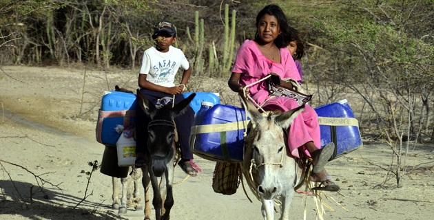 Fotos archivo EL HERALDO