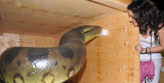 Fotos archivo EL HERALDO