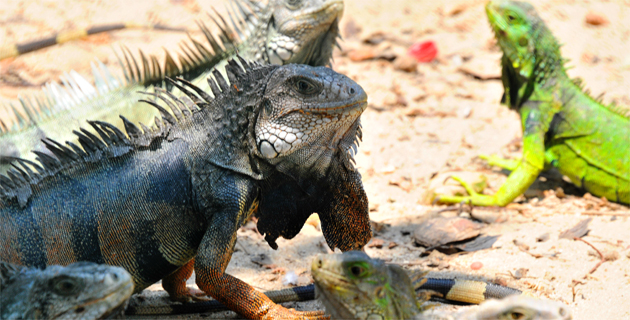 Fotos archivo EL HERALDO