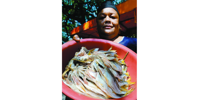 Fotos archivo EL HERALDO