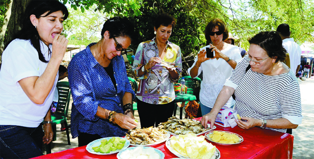 Fotos archivo EL HERALDO