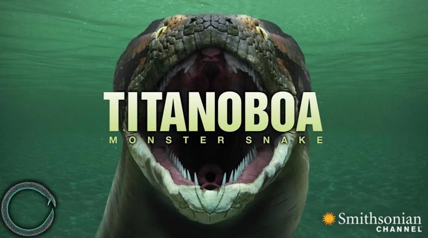 Fotos archivo EL HERALDO