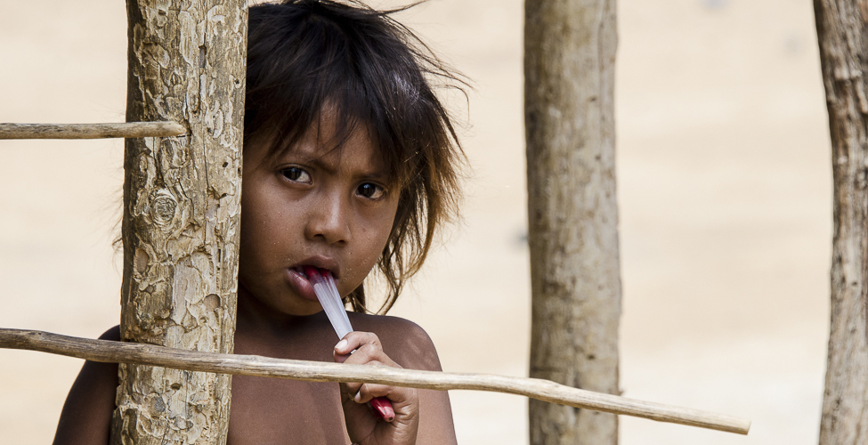 Fotos archivo EL HERALDO