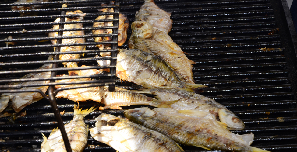 Fotos archivo EL HERALDO