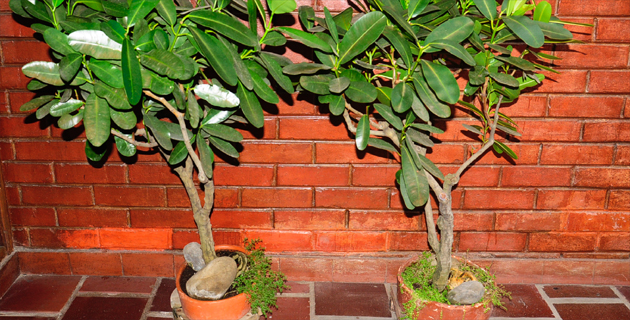 Fotos archivo EL HERALDO