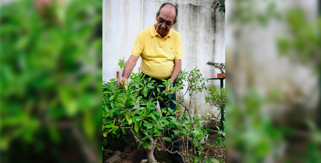 Fotos archivo EL HERALDO