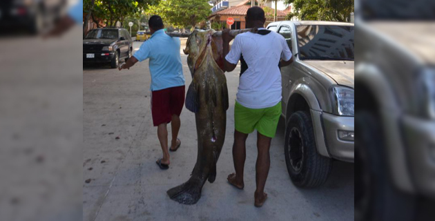 Fotos archivo EL HERALDO