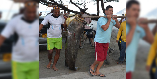 Fotos archivo EL HERALDO