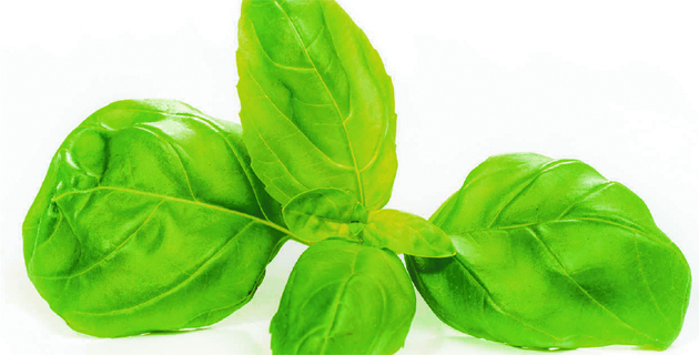 Fotos archivo EL HERALDO