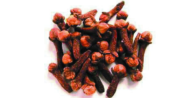 Fotos archivo EL HERALDO