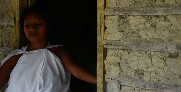 Fotos archivo EL HERALDO