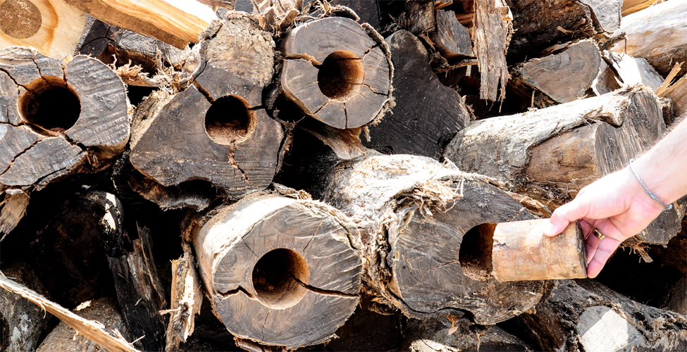 Fotos archivo EL HERALDO