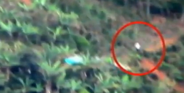 Fotos archivo EL HERALDO