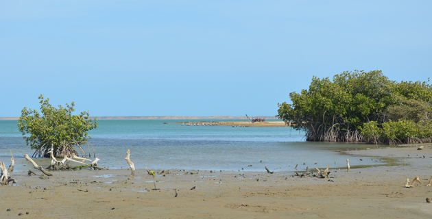 Fotos archivo EL HERALDO